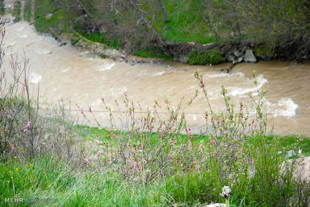 جاری شدن سیلاب در کردستان +عکس
