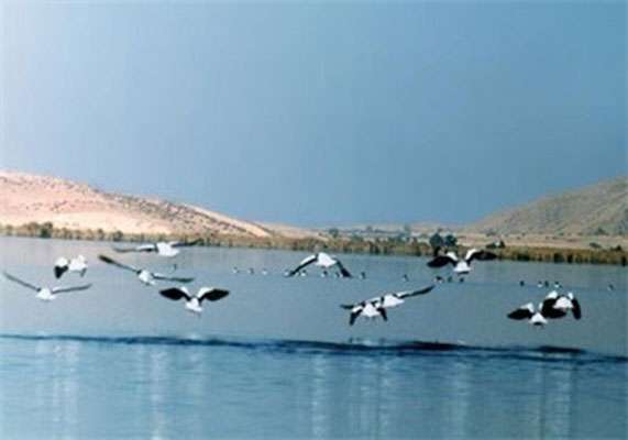 ۱۰ میلیون مترمکعب آب به احیای دریاچه "پریشان" کازرون اختصاص می‌یابد