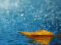 موج جدید بارش باران در 11 استان کشور