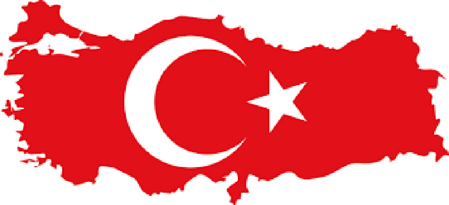 «داود اوغلو» مامور تشکیل دولت ترکیه شد