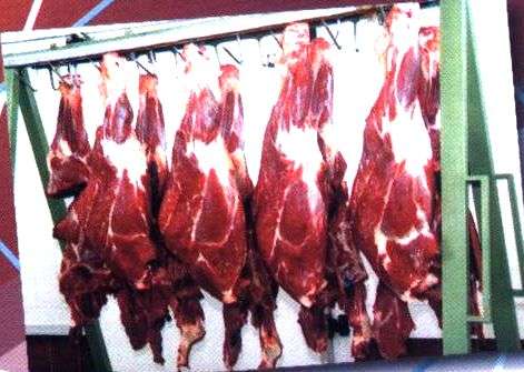 قیمت انواع گوشت شتر مرغ بسته بندی