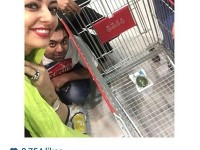 سلفی نفیسه روشن و همسر و برادرش با یک آووکادو در سبد خرید یک فروشگاه!