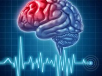 پیش‌ بینی هوش انسان با اسکن مغزی