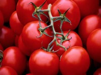 توصیه حیاتی به مردان: گوجه‌ فرنگی بخورید!