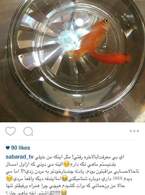 سوگواری صبا راد مجری تلویزیون برای ماهی گلی اش