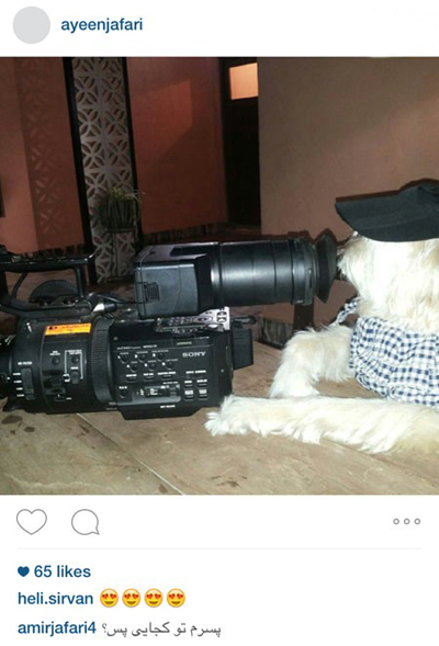 عکسی که آئین جعفری پسر امیر جعفری از یک سگ خانگی در مقابل دوربین فیلمبرداری به اشتراک گذاشت