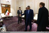 گزارش تصویری/دیدار علاءالدین بروجردی با سفیر دانمارک