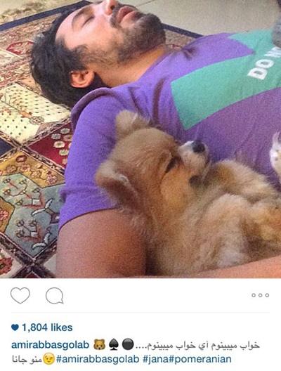 امیر عباس گلاب و سگش در حال خواب دیدن