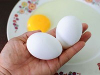 قیمت انواع تخم مرغ بدون آنتی بیوتیک