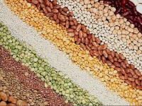 قیمت انواع حبوبات غلات و لیمو عمانی فله