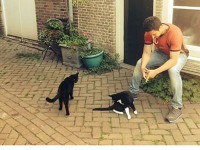خلوت شاهرخ استخری با گربه های ولگرد یکی از شهرهای هلند