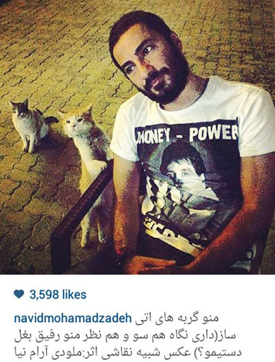 عکس جالب نوید محمدزاده در کنار گربه های محلشان