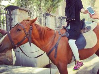 حدیث مدنی دارد خود را برای یک اسب سواری مهیج آماده می‌کند