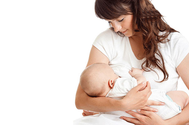 افزایش شیر مادر با ۵ گیاه دارویی!