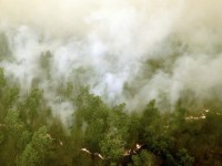 آتش سوزی جنگل های جنوب سوماترا در اندونزی