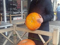 المیرا شریفی مقدم گوینده اخبار صدا و سیما با حدود یک ماه تاخیر به استقبال هالووین رفت!