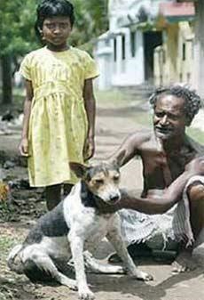 زدواج اجباری دختر هندی با یک سگ