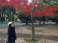 «زو کراویتز» در سفر به کشور زیبای ژاپن با درخت های رنگارنگی که او را به وجد آورده اند
