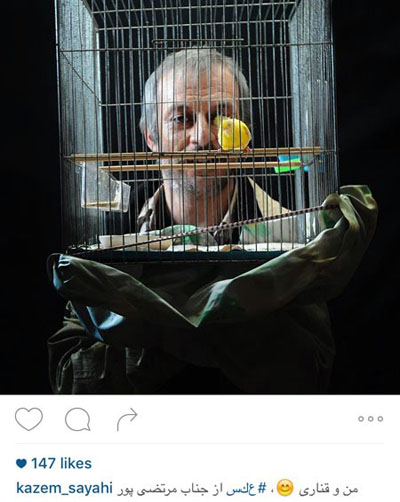 عکس هنری کاظم سیاحی با قناریِ در قفس