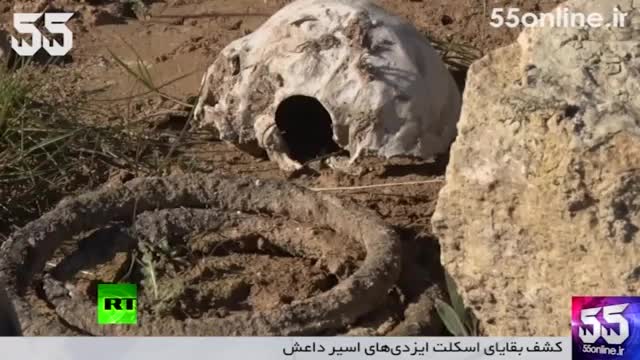 فیلم/ کشف بقایای اسکلت ایزدی‌های اسیر داعش