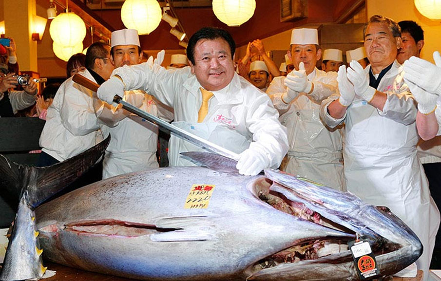 ماهی تن با قیمت 350000000 تومان + عکس
