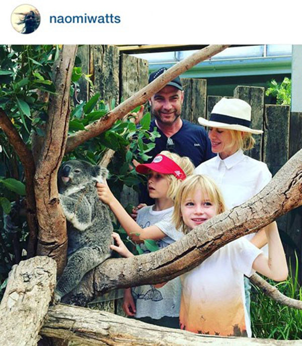 عکس خانوادگی «نائومی واتس» در کنار خانواده اش و کوالای باغ وحشی در سیدنی