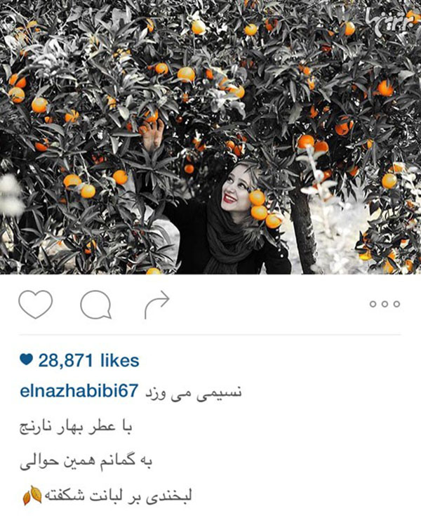 عکس هنری الناز حبیبی زیر درخت نارنج