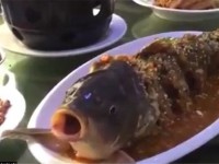 زنده‌شدن ماهی در ظرف غذای یک چینی