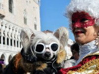 تصویری/ ۱۸ روز جشن و پایکوبی کارناوال در ونیز