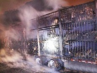 ۳۰۰ بز در کامیون زنده زنده سوختند + عکس