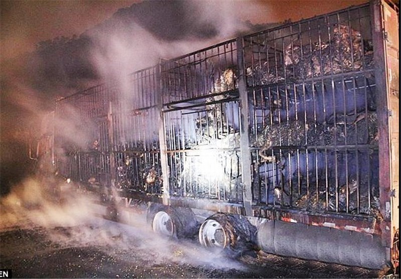 ۳۰۰ بز در کامیون زنده زنده سوختند + عکس
