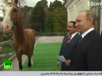 فیلم/ هدیه رئیس‌جمهوری روسیه به پادشاه بحرین
