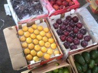 میوه‌های تابستانه قاچاق بازار زمستان را پر کرد + عکس