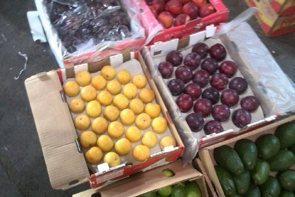 میوه‌های قاچاق با تریلی ۱۸ چرخ از مبادی آسفالته وارد کشور می‌شود