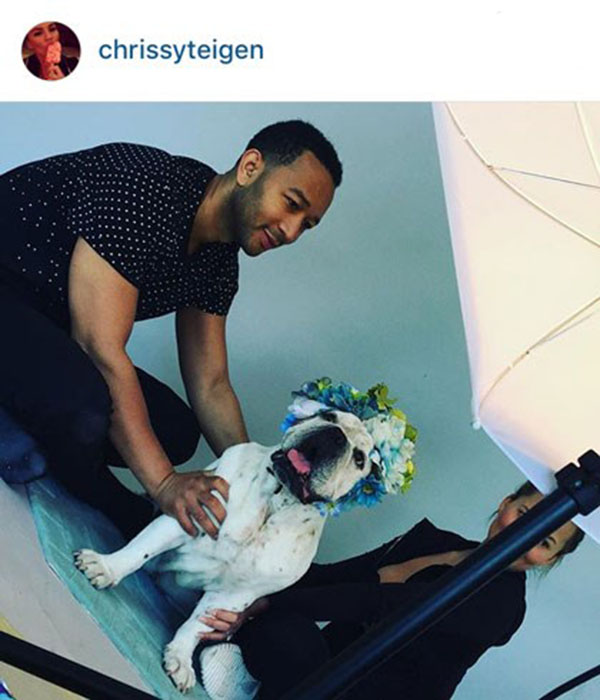 «کریسی تیجن» و «جان لجند» در حال عکس گرفتن از سگشان!