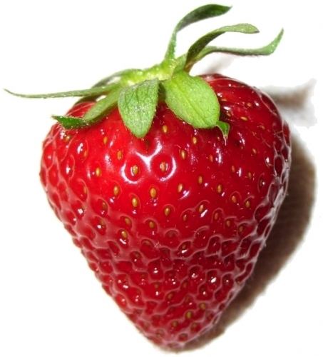 perfectstrawberry-453x500