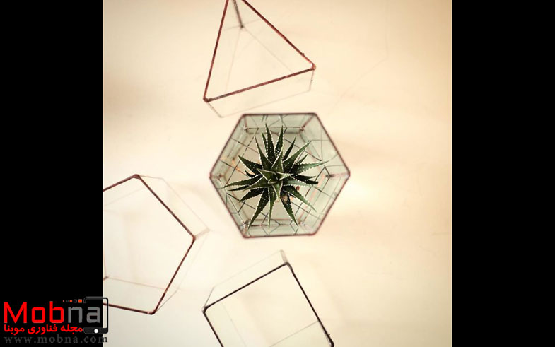 the-terrarium-re-imagined-i-make-strange-shapes-out-of-g_002