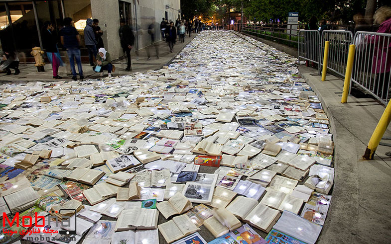 book-installation-literature-vs-traffic-luzinterruptus-t_003