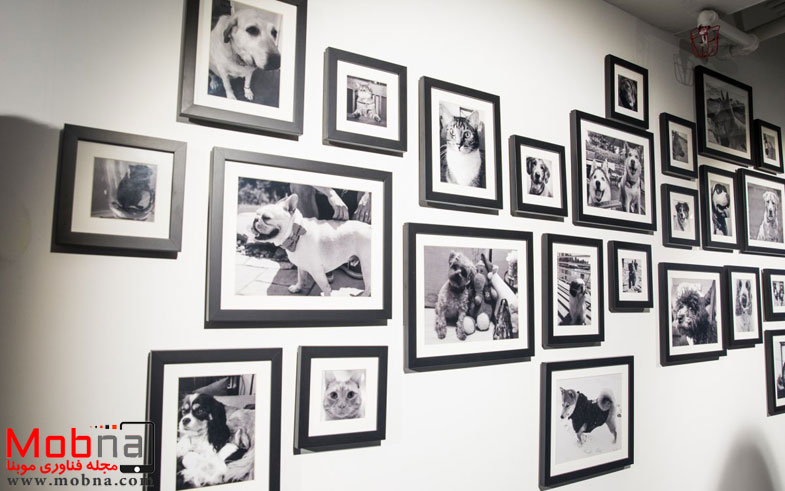 other-fun-art-we-spotted-the-wall-of-pets-employees-arent-pe