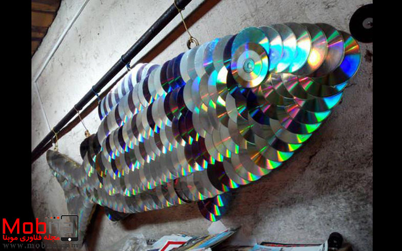 سی دی ماهی! (عکس)
