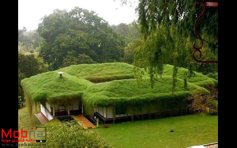 خانه سبز واقعی! (عکس)