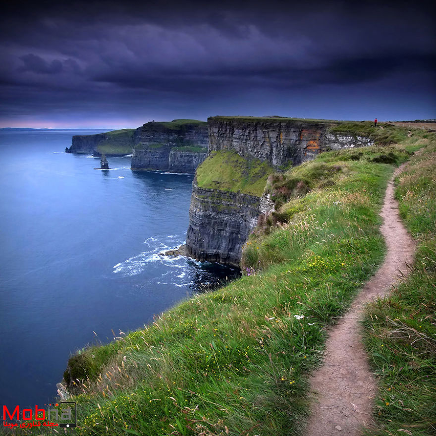 moher03-5849b3d97198c__880