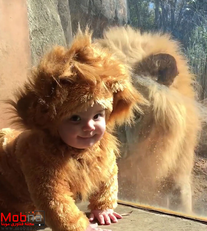 toddler-dressed-lion-costume-aryeh-zoo-atlanta-4