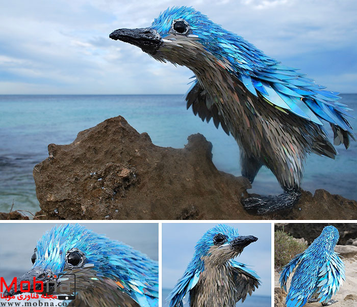 cd-animal-sculptures-recycled-art-sean-avery-60-5885c8f3bdc7e__700