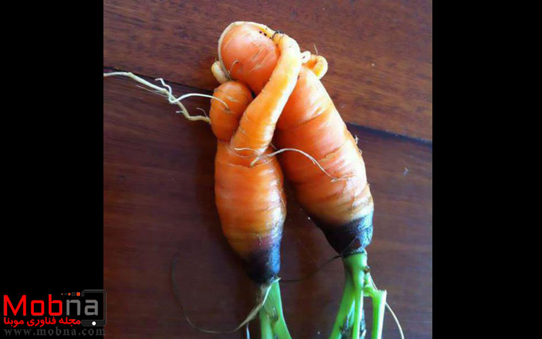 هویج های مهربان! (عکس)