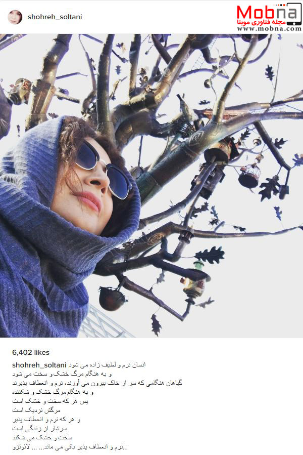 سلفی شهره سلطانی با یک درخت هنری! (عکس)