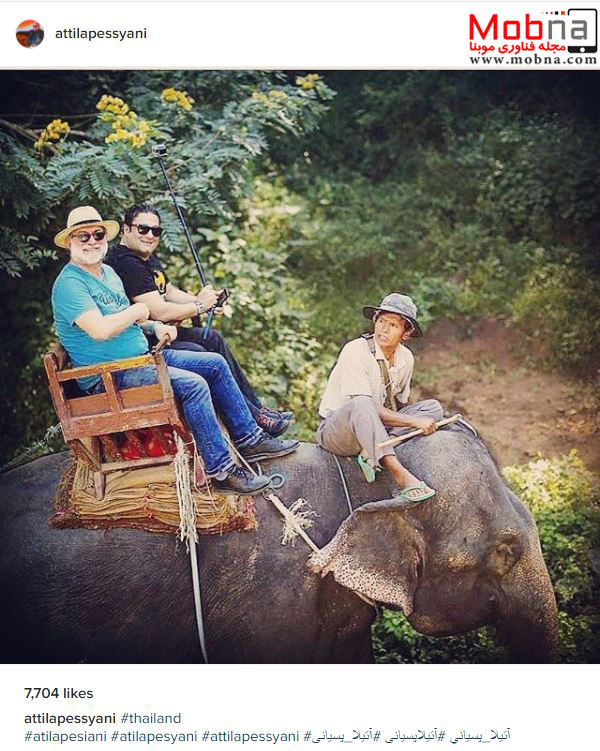فیل سواری آتیلا پسیانی در تایلند! (عکس)