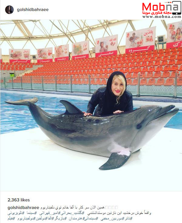 هنرنمایی بانوی بازیگر به همراه یک دلفین در استخر! (عکس)