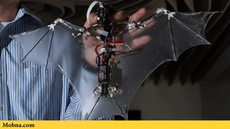 Caltech aerospace professor Soon-Jo Chung holds the 'Bat Bot' flying robot, which mimics the flight patterns of the actual animal.