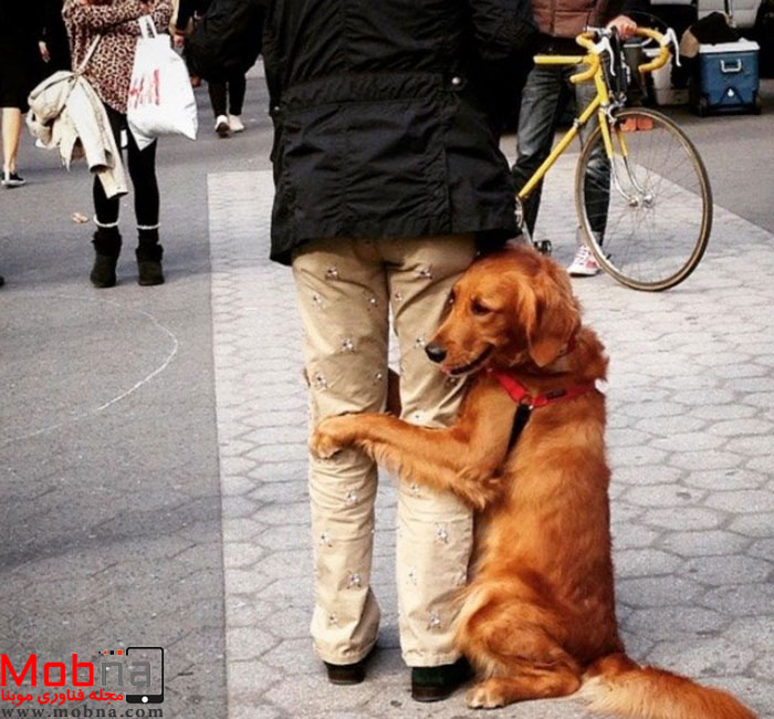 با محبت ترین سگ دنیا! (عکس)